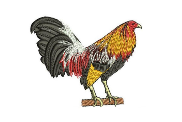 Majestic Rooster